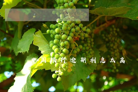 中国银行逾期利息太高 中国银行逾期利息太高