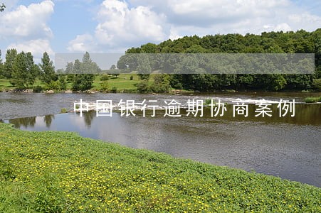 中国银行逾期协商案例 中国银行逾期协商案例