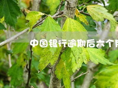 中国银行逾期后六个月恢复提额 中国银行逾期后六个月恢复提额