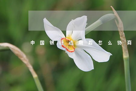 中国银行逾期后怎么协商 中国银行逾期后怎么协商