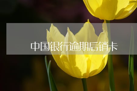 中国银行逾期后销卡 中国银行逾期后销卡