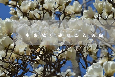 中国银行逾期四天利息 中国银行逾期四天利息