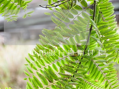 中国银行逾期封卡 中国银行逾期封卡