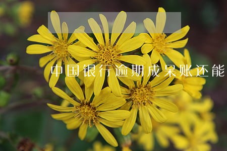 中国银行逾期成呆账还能房贷吗 中国银行逾期成呆账还能房贷吗