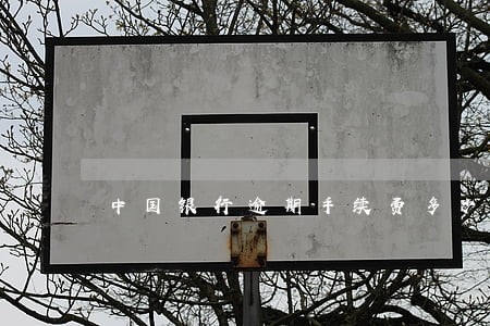 中国银行逾期手续费多少 中国银行逾期手续费多少