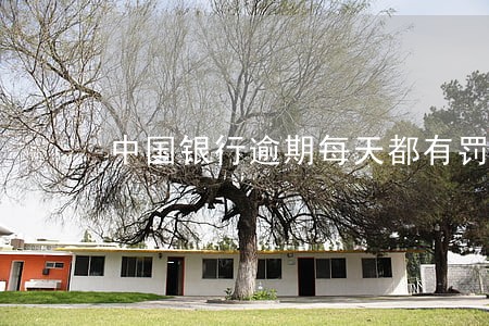 中国银行逾期每天都有罚息 中国银行逾期每天都有罚息