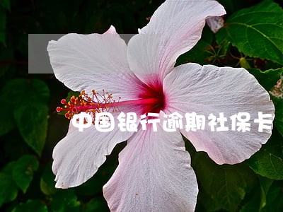 中国银行逾期社保卡