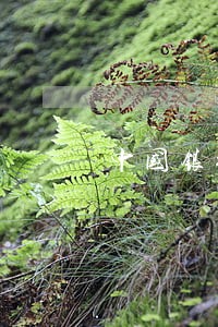 中国银行逾期突然账号不符了 中国银行逾期突然账号不符了