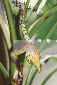 中国银行逾期规章制度 中国银行逾期规章制度