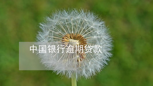 中国银行逾期贷款 中国银行逾期贷款