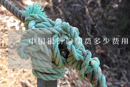 中国银行逾期费多少费用 中国银行逾期费多少费用