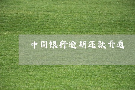 中国银行逾期还款开通