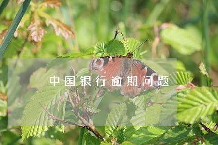 中国银行逾期问题 中国银行逾期问题