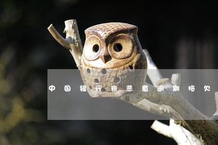 中国银行非恶意逾期拖欠证明 中国银行非恶意逾期拖欠证明