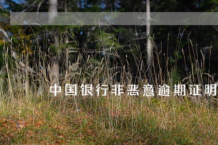 中国银行非恶意逾期证明模版 中国银行非恶意逾期证明模版