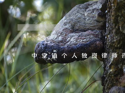 中堂镇个人独资律师咨询电话 中堂镇个人独资律师咨询电话