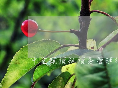 中堂镇债权债务管理律师推荐 中堂镇债权债务管理律师推荐