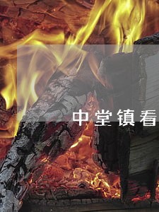中堂镇看守所会见律师推荐 中堂镇看守所会见律师推荐
