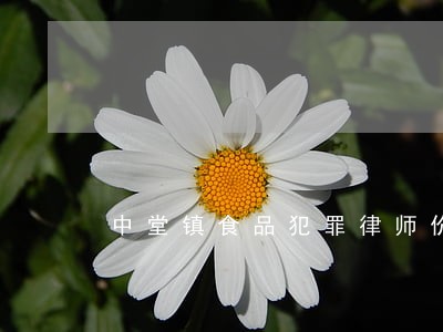 中堂镇食品犯罪律师价格 中堂镇食品犯罪律师价格
