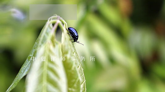 中夏律师事务所 中夏律师事务所