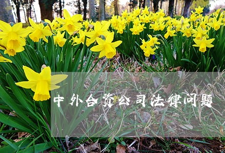 中外合资公司法律问题 中外合资公司法律问题