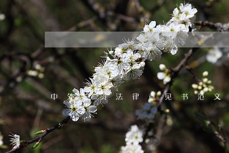 中外合资法律意见书范文