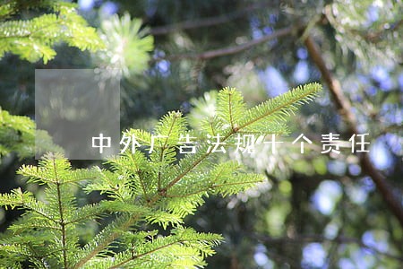 中外广告法规十个责任