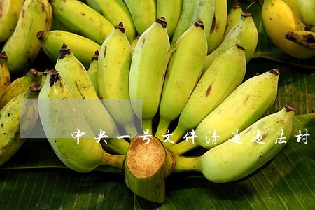 中央一号文件清退违法村干部 中央一号文件清退违法村干部