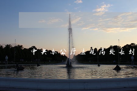 中央办公厅法规局处长刘伟 中央办公厅法规局处长刘伟