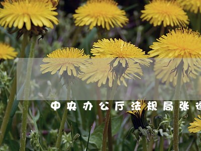 中央办公厅法规局张德鹏 中央办公厅法规局张德鹏