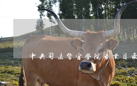 中央司法警官学院专业目录