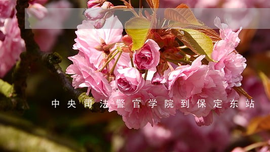中央司法警官学院到保定东站 中央司法警官学院到保定东站