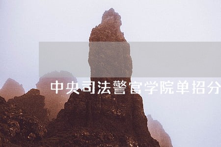 中央司法警官学院单招分数线