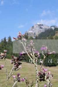 中央司法警官学院复试时间 中央司法警官学院复试时间