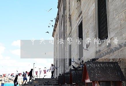 中央司法警官学院帅哥 中央司法警官学院帅哥
