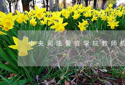 中央司法警官学院教师招聘公平吗 中央司法警官学院教师招聘公平吗