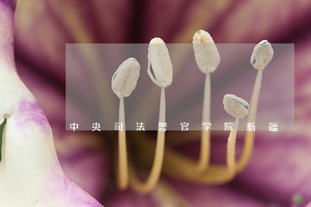 中央司法警官学院新疆 中央司法警官学院新疆