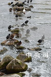 中央司法警官学院是否联考 中央司法警官学院是否联考