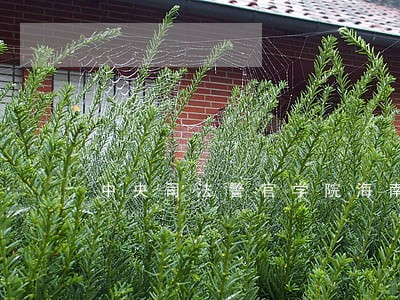 中央司法警官学院海南