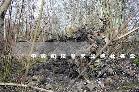 中央司法警官学院社会学调剂
