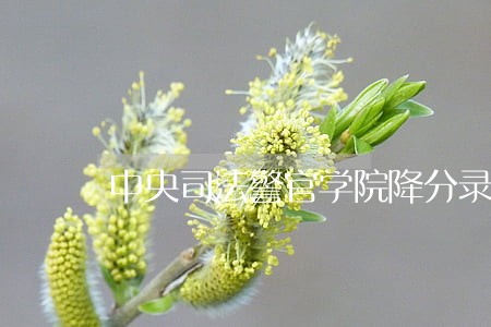 中央司法警官学院降分录取