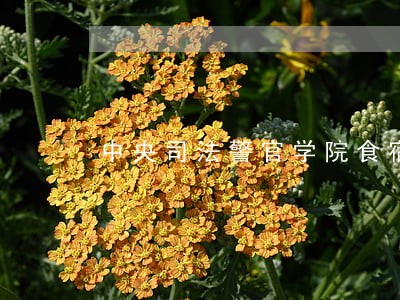 中央司法警官学院食宿 中央司法警官学院食宿