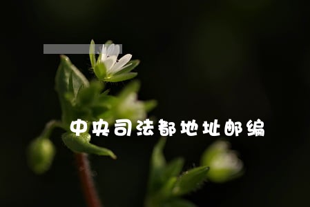 中央司法都地址邮编 中央司法都地址邮编