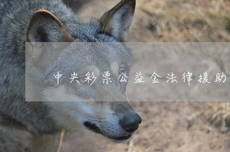 中央彩票公益金法律援助网站