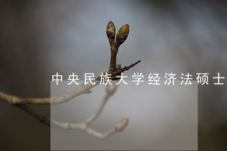 中央民族大学经济法硕士要面试吗 中央民族大学经济法硕士要面试吗