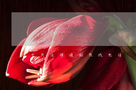 中央法律援助热线电话 中央法律援助热线电话