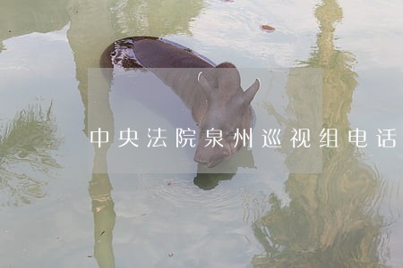 中央法院泉州巡视组电话