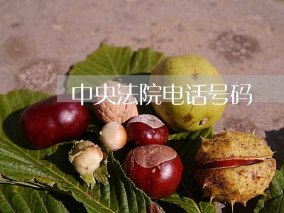 中央法院电话号码 中央法院电话号码