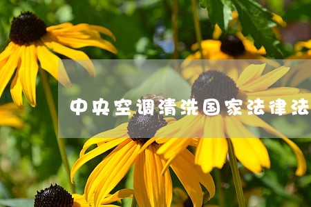 中央空调清洗国家法律法规