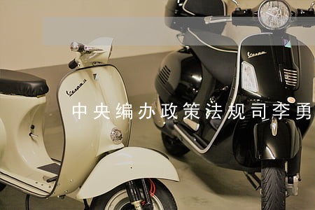 中央编办政策法规司李勇简历